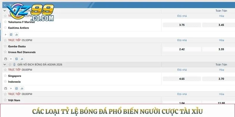 Các loại tỷ lệ bóng đá phổ biến người cược tài xỉu