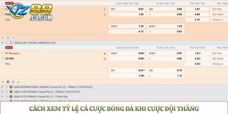 Cách xem tỷ lệ cá cược bóng đá khi cược đội thắng