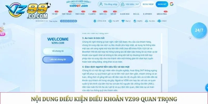 Nội dung điều kiện điều khoản Vz99 quan trọng