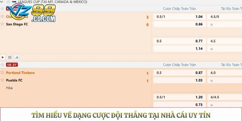 Tìm hiểu về dạng cược đội thắng tại nhà cái uy tín